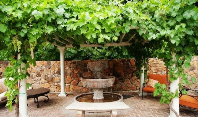 Spanish Villa Inn St. Helena Eksteriør billede